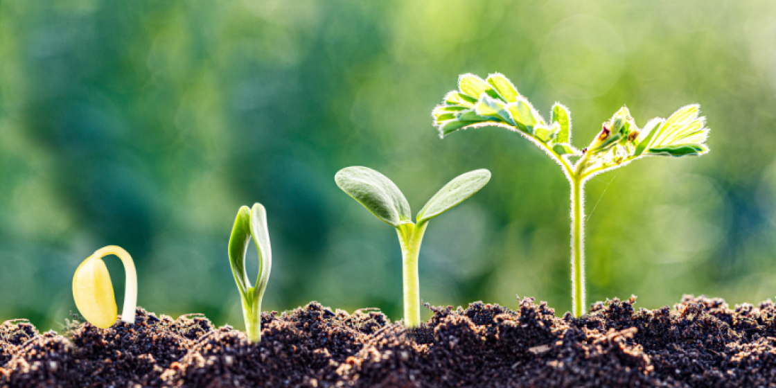 Amazon Growth Tool Analytics